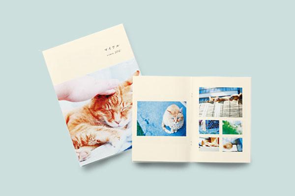 新品/未開封　FUJIFILM×OUR かぞくのきろく　アルバム　５冊 3776のニュー・アルバム『The Birth and Death of the Universe